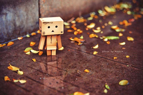 今天，我不關心長沙的天氣，我只關心我的廚房